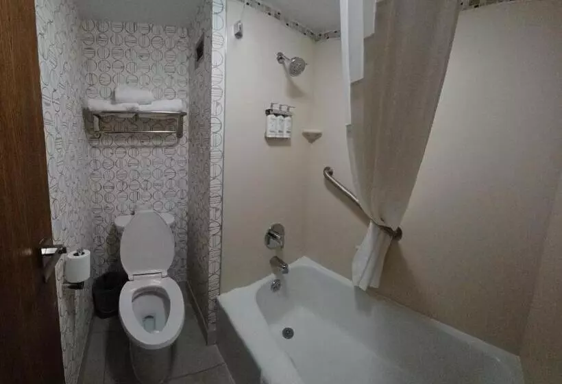 فندق Holiday Inn   Mcallen   Medical Center Area, An Ihg