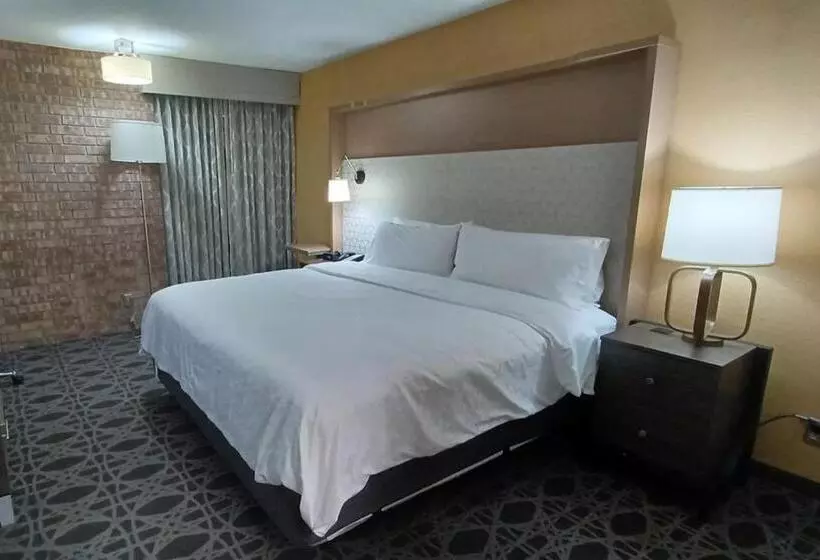 فندق Holiday Inn   Mcallen   Medical Center Area, An Ihg