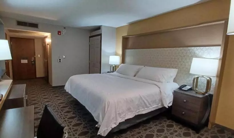 فندق Holiday Inn   Mcallen   Medical Center Area, An Ihg