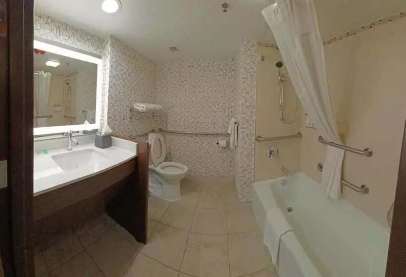 فندق Holiday Inn   Mcallen   Medical Center Area, An Ihg