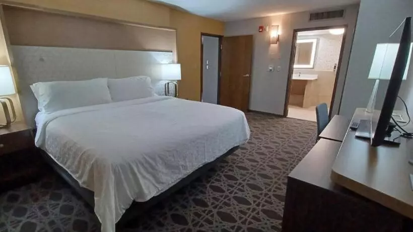 فندق Holiday Inn   Mcallen   Medical Center Area, An Ihg