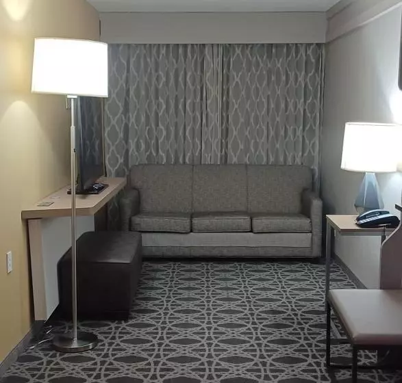 فندق Holiday Inn   Mcallen   Medical Center Area, An Ihg