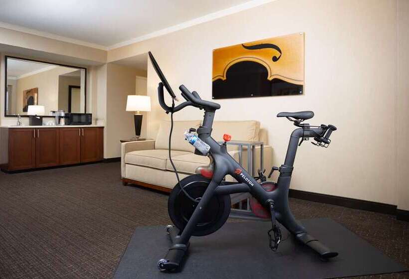 هتل Embassy Suites By Hilton Austin Downtown South Congress