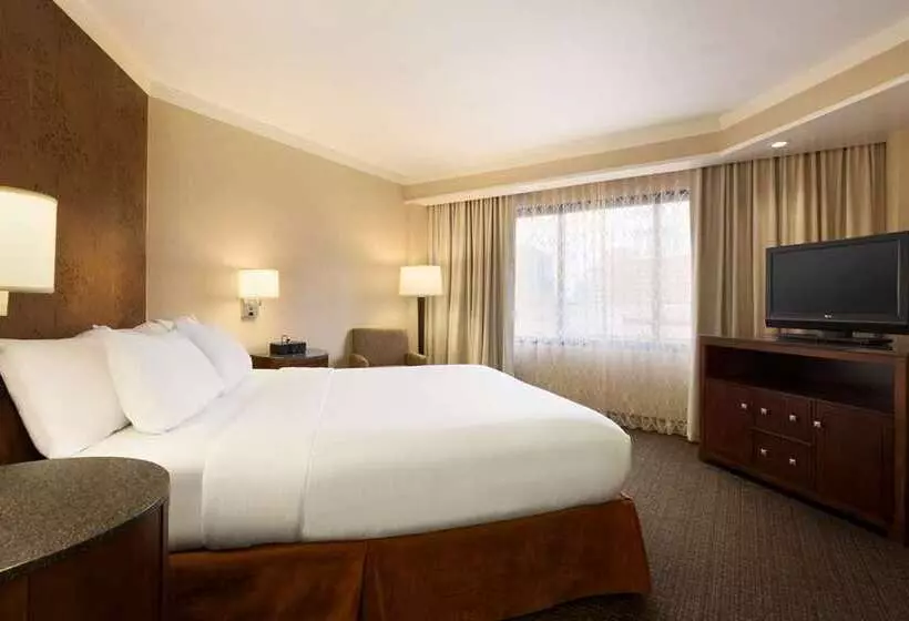 Hotel Embassy Suites By Hilton Austin Downtown South Congress