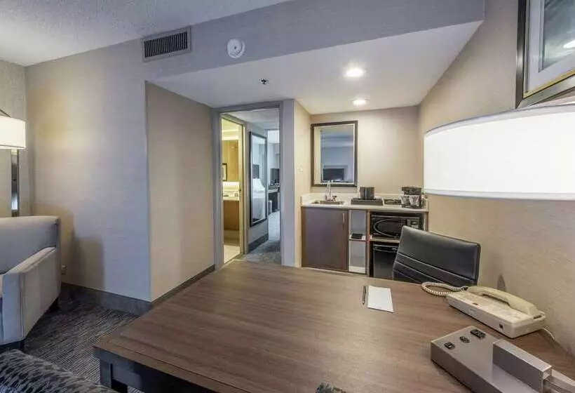 فندق Embassy Suites By Hilton Chicago Schaumburg Woodfield