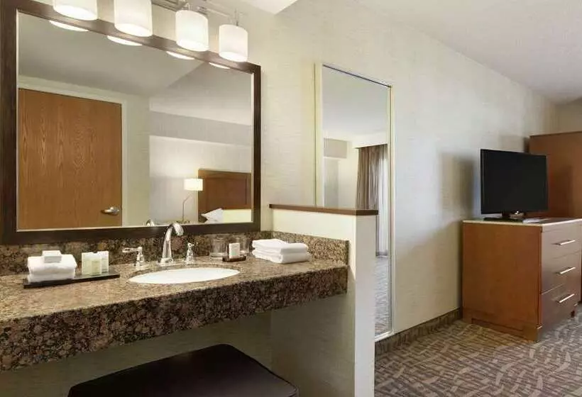 فندق Embassy Suites By Hilton Santa Ana Orange County Airport