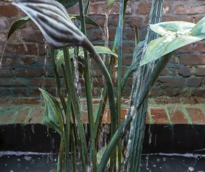 فندق Foley House Inn