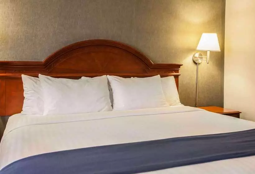 فندق Quality Inn & Suites St Charles West Chicago