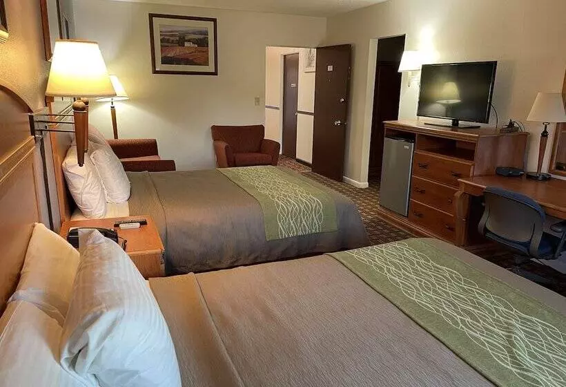 酒店 Village Inn Green Bay