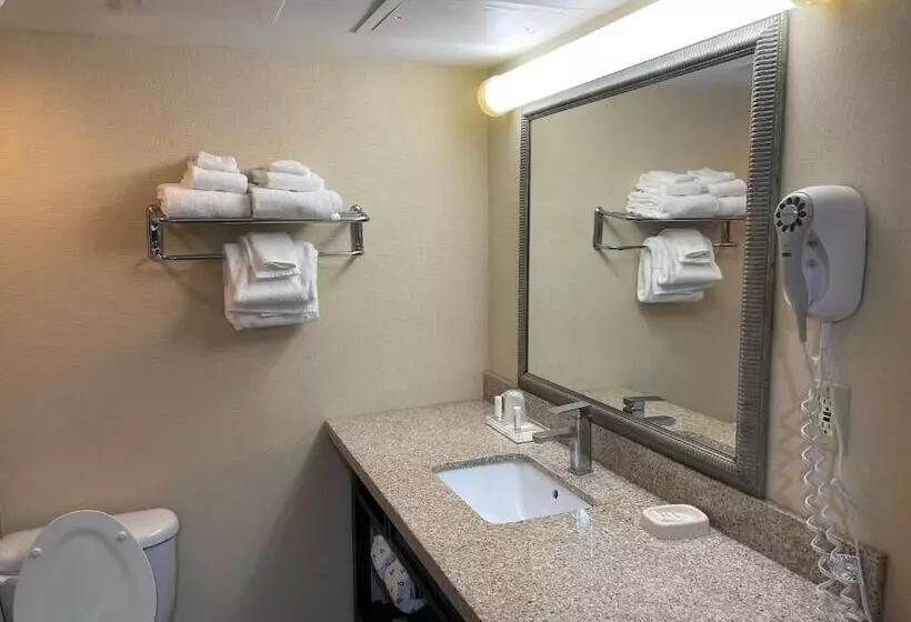 فندق Wyndham Garden Dover