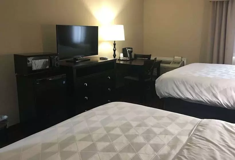 فندق Wyndham Garden Dover