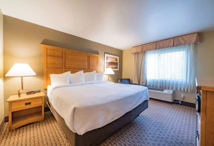 בית מלון כפרי Best Western Plus Grantree Inn