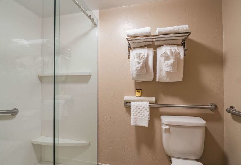 Otel Best Western Plus Grantree Inn