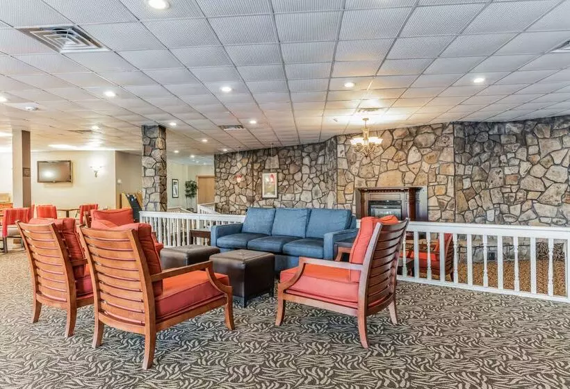 酒店 Comfort Inn Grantsvilledeep Creek Lake