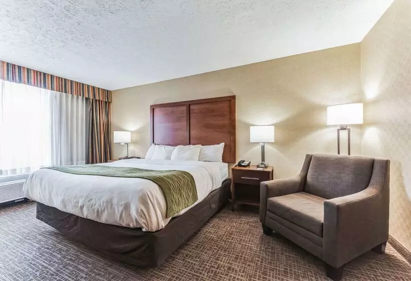 酒店 Comfort Inn Grantsvilledeep Creek Lake