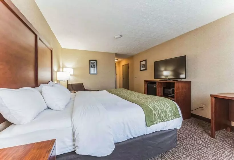 酒店 Comfort Inn Grantsvilledeep Creek Lake