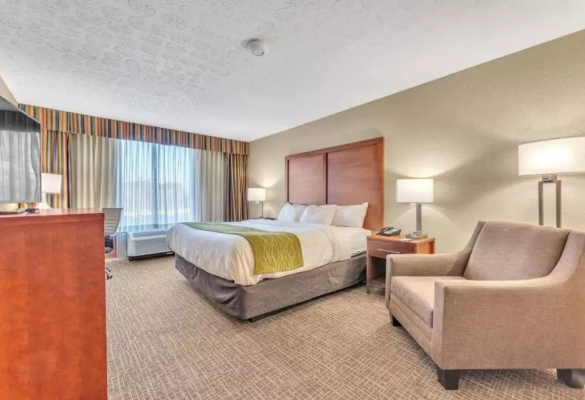 酒店 Comfort Inn Grantsvilledeep Creek Lake