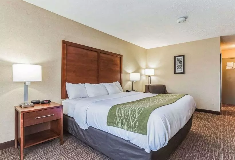 酒店 Comfort Inn Grantsvilledeep Creek Lake