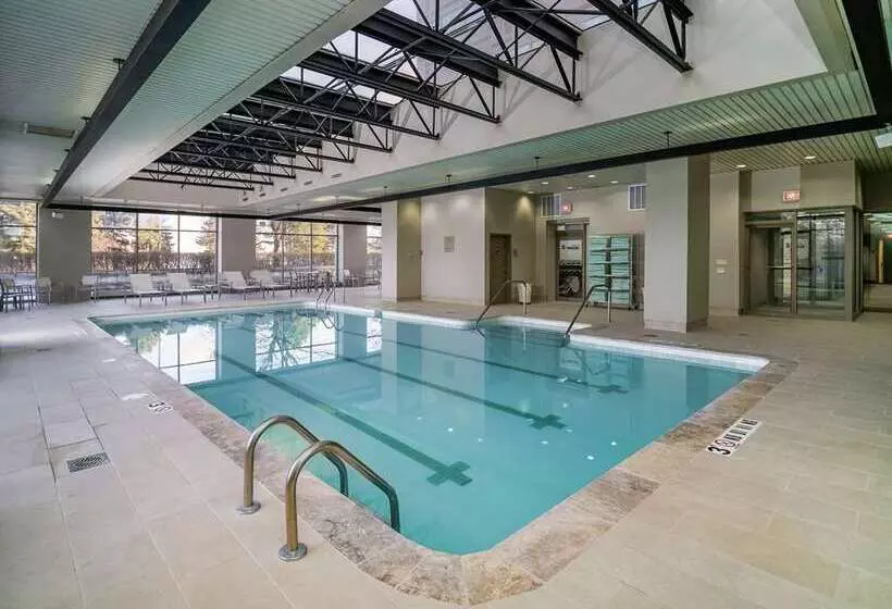 호텔 Embassy Suites By Hilton Detroit Troy Auburn Hills