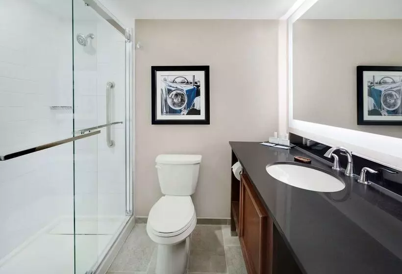 ホテル Embassy Suites By Hilton Detroit Troy Auburn Hills