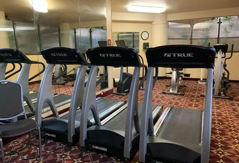 Отель The Garden Plaza