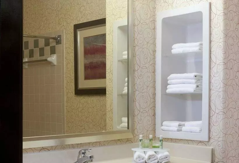 Holiday Inn Express Hotel And Suites Brownsville, An Ihg