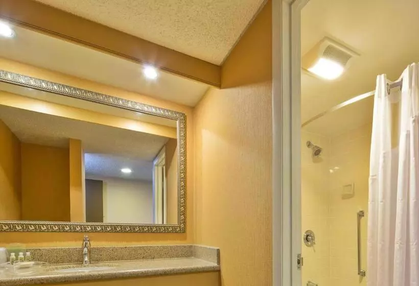 فندق Holiday Inn & Suites Nashua, An Ihg