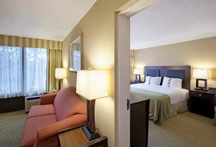 فندق Holiday Inn & Suites Nashua, An Ihg
