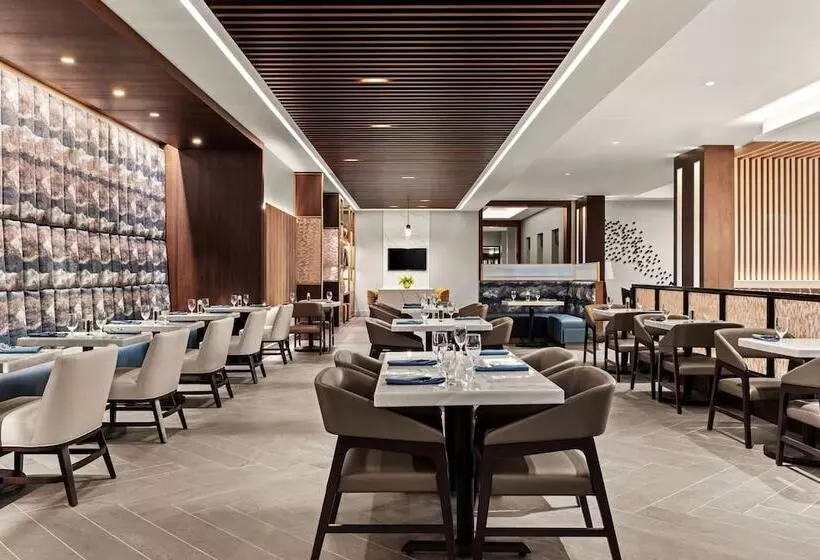 ホテル Marriott San Antonio Airport