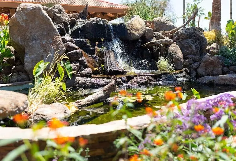 酒店 Mission De Oro