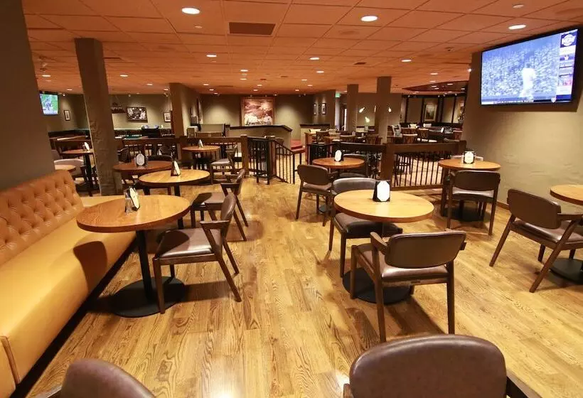 酒店 Mission De Oro