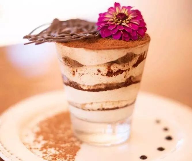 酒店 Mission De Oro