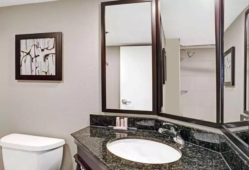 Hotel Spark By Hilton Richardson Dallas