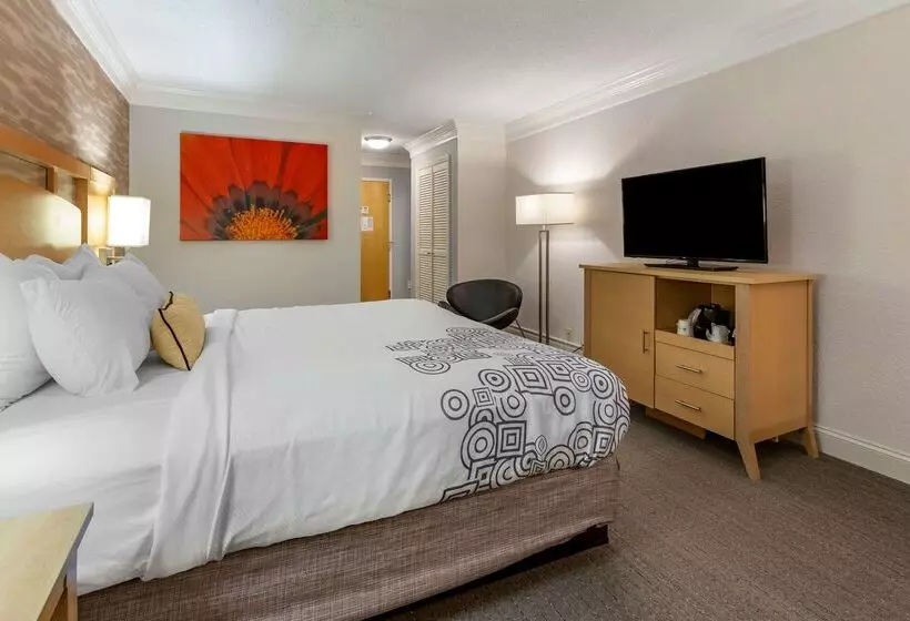 فندق Best Western Plus University Inn