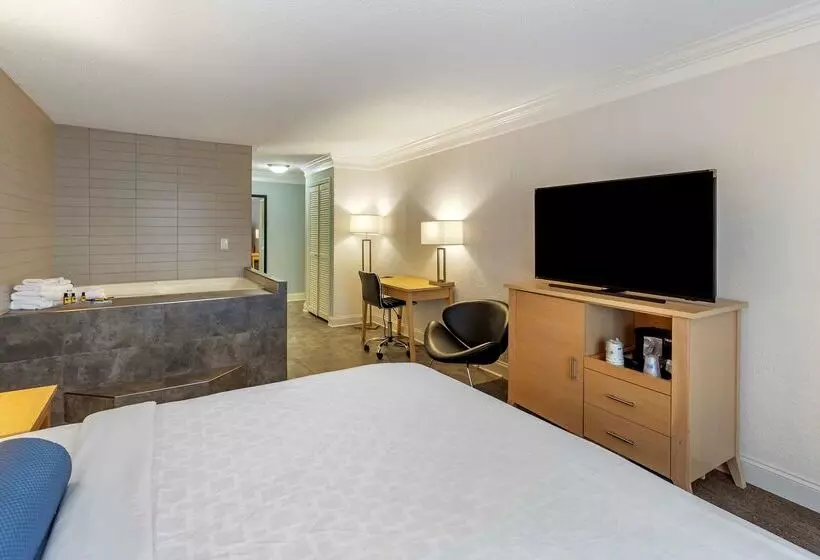 فندق Best Western Plus University Inn