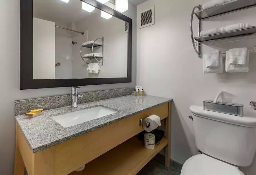 فندق Best Western Plus University Inn