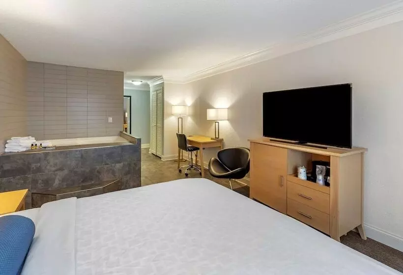 فندق Best Western Plus University Inn