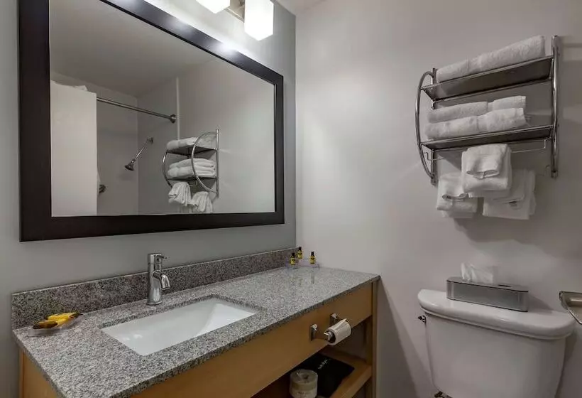 فندق Best Western Plus University Inn