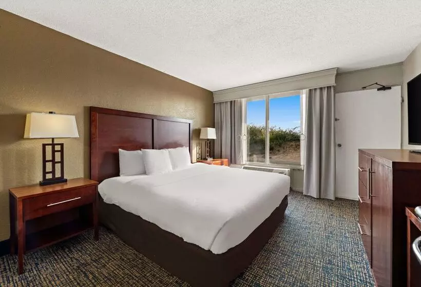 Отель Comfort Inn On The Ocean