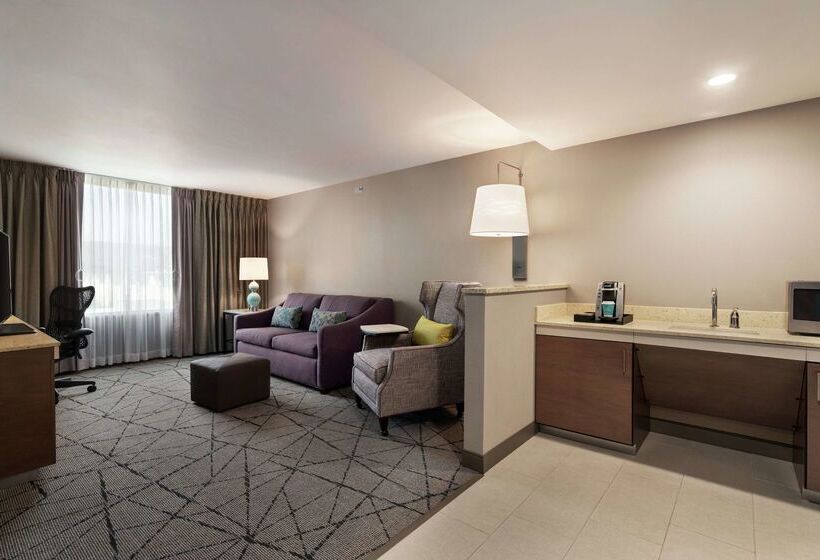 בית מלון כפרי Hilton Garden Inn Springfield