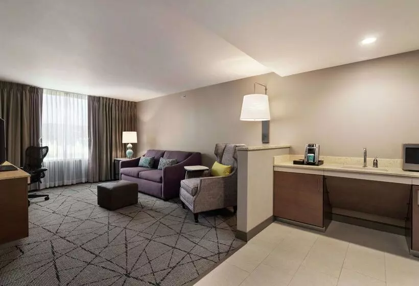 Szálloda Hilton Garden Inn  Springfield