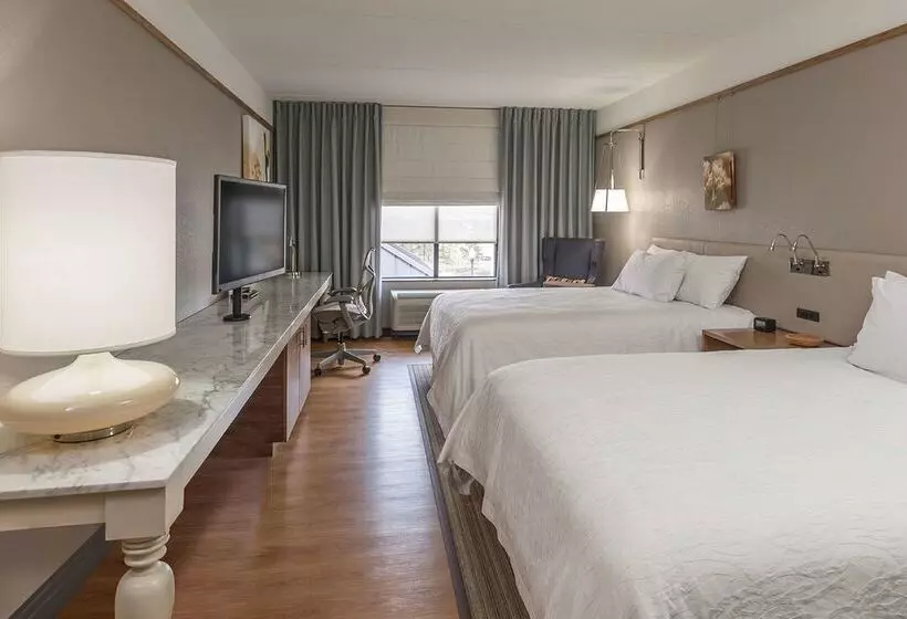 Szálloda Hilton Garden Inn  Springfield