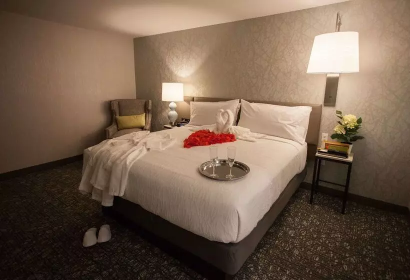 Szálloda Hilton Garden Inn  Springfield