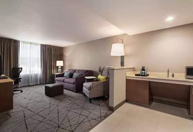 Szálloda Hilton Garden Inn  Springfield