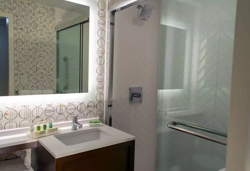 Otel Holiday Inn Binghamton Downtown Hawley Street, An Ihg