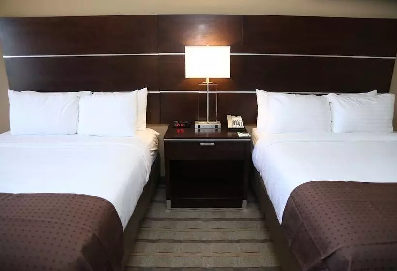 Otel Holiday Inn Charlotte Airport, An Ihg