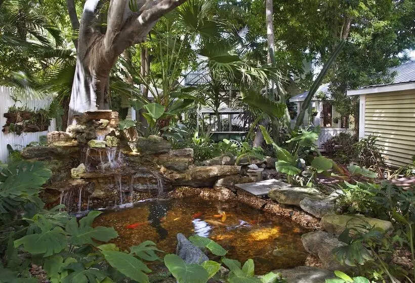 هتل Island City House