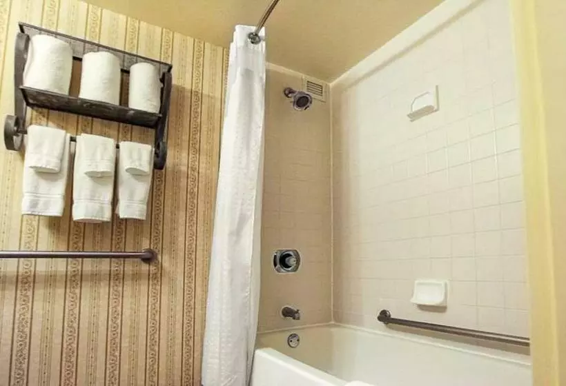 Otel Magnuson Grand & Conference Center Somersetbridgewater