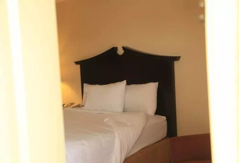 ホテル Plaza Inn Midland