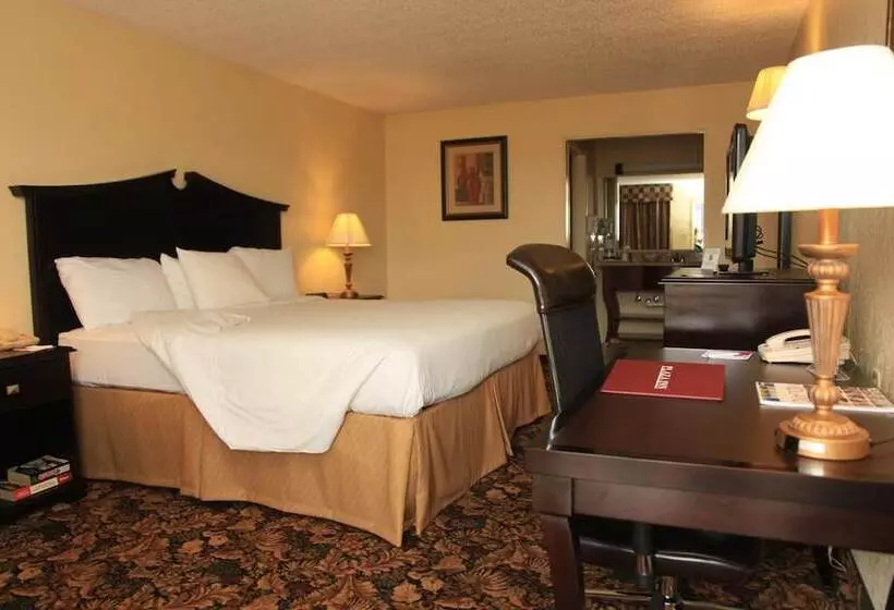 ホテル Plaza Inn Midland